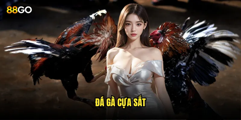 đá gà cựa sắt