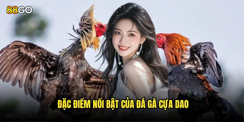 Đặc điểm nổi bật của đá gà cựa dao