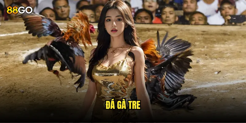 đá gà tre