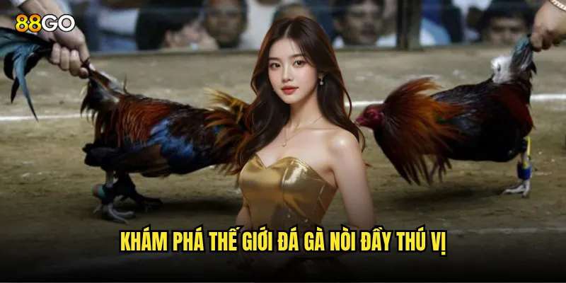 Đá gà nòi 88go có thật sự mang lại lợi nhuận cao? 2 Khám phá thế giới đá gà nòi đầy thú vị