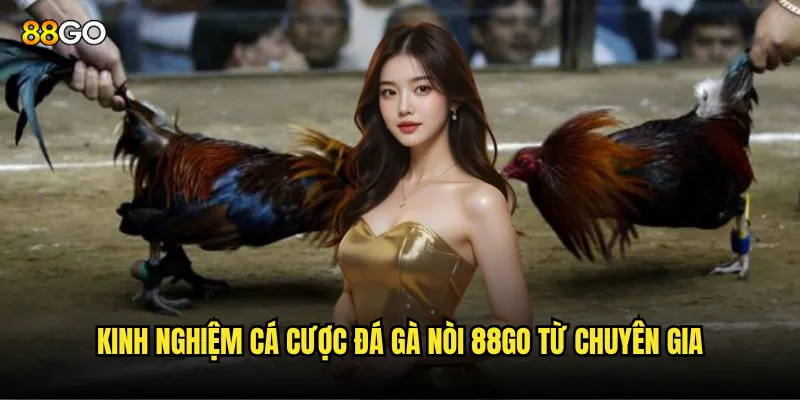 Đá gà nòi 88go có thật sự mang lại lợi nhuận cao? 3 Kinh nghiệm cá cược đá gà nòi 88go từ chuyên gia
