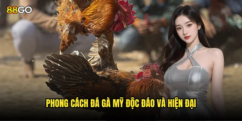 Phong cách đá gà mỹ độc đáo và hiện đại