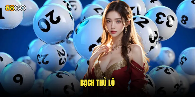bạch thủ lô