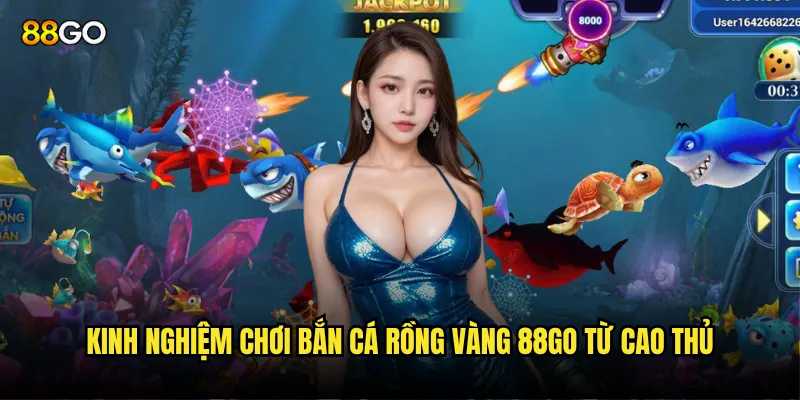 Kinh nghiệm chơi Bắn Cá Rồng Vàng 88go từ cao thủ